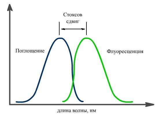 ФЛЮОРЕСЦЕНЦИЯ
